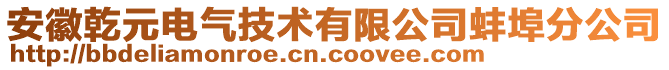 安徽乾元電氣技術(shù)有限公司蚌埠分公司