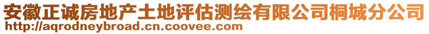 安徽正誠(chéng)房地產(chǎn)土地評(píng)估測(cè)繪有限公司桐城分公司