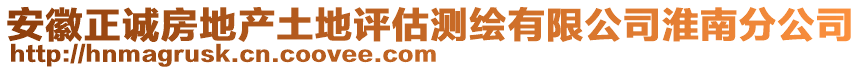 安徽正誠房地產(chǎn)土地評估測繪有限公司淮南分公司