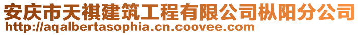 安慶市天祺建筑工程有限公司樅陽分公司