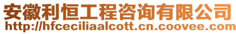 安徽利恒工程咨詢有限公司