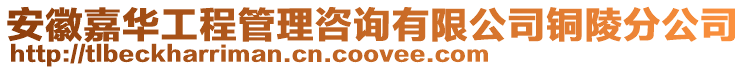 安徽嘉華工程管理咨詢有限公司銅陵分公司