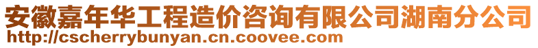 安徽嘉年華工程造價咨詢有限公司湖南分公司