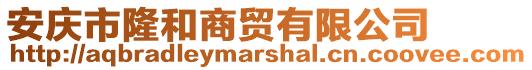 安慶市隆和商貿有限公司