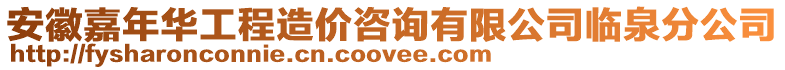 安徽嘉年華工程造價咨詢有限公司臨泉分公司