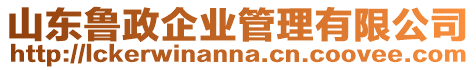山東魯政企業(yè)管理有限公司