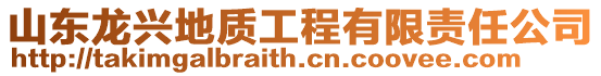 山東龍興地質工程有限責任公司