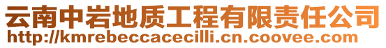 云南中巖地質(zhì)工程有限責(zé)任公司