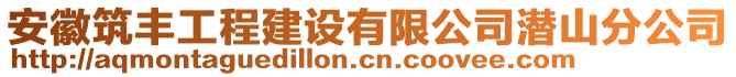 安徽筑豐工程建設(shè)有限公司潛山分公司