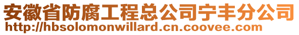 安徽省防腐工程总公司宁丰分公司