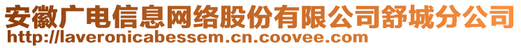 安徽廣電信息網(wǎng)絡(luò)股份有限公司舒城分公司