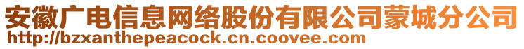 安徽廣電信息網(wǎng)絡(luò)股份有限公司蒙城分公司