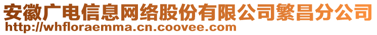 安徽廣電信息網(wǎng)絡(luò)股份有限公司繁昌分公司