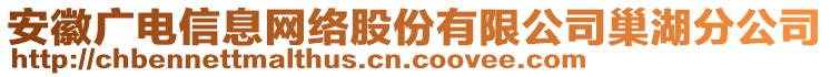 安徽广电信息网络股份有限公司巢湖分公司