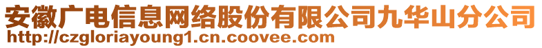 安徽廣電信息網(wǎng)絡(luò)股份有限公司九華山分公司