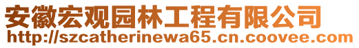 安徽宏觀園林工程有限公司