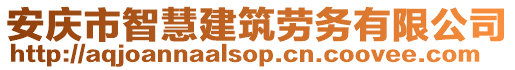 安慶市智慧建筑勞務有限公司