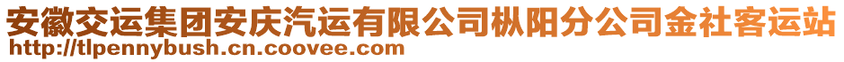 安徽交運集團安慶汽運有限公司樅陽分公司金社客運站