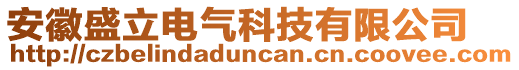 安徽盛立電氣科技有限公司