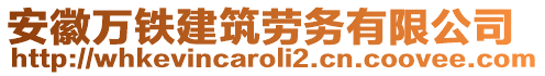 安徽萬鐵建筑勞務有限公司