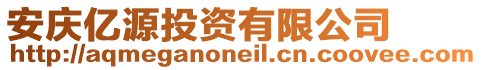 安慶億源投資有限公司