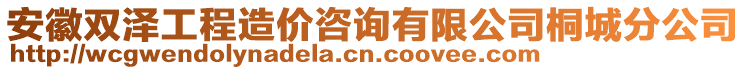 安徽雙澤工程造價咨詢有限公司桐城分公司