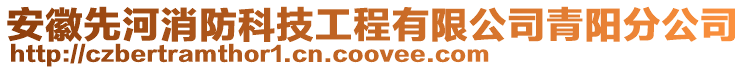 安徽先河消防科技工程有限公司青陽分公司