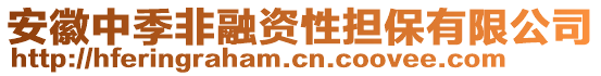 安徽中季非融資性擔保有限公司