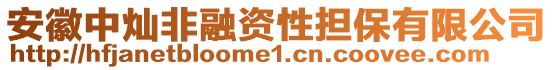 安徽中燦非融資性擔(dān)保有限公司