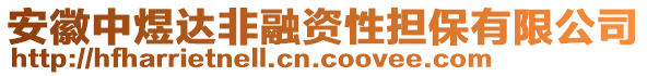 安徽中煜達(dá)非融資性擔(dān)保有限公司