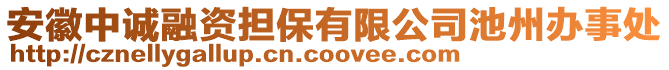 安徽中誠融資擔保有限公司池州辦事處