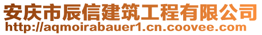 安慶市辰信建筑工程有限公司