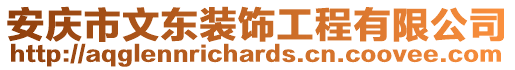安慶市文東裝飾工程有限公司