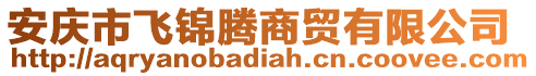 安慶市飛錦騰商貿(mào)有限公司