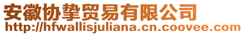 安徽協(xié)摯貿(mào)易有限公司