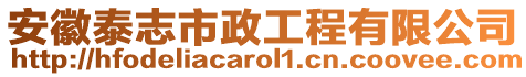 安徽泰志市政工程有限公司