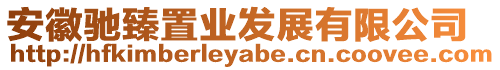 安徽馳臻置業發展有限公司