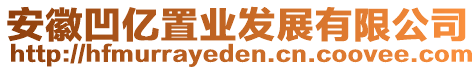 安徽凹億置業發展有限公司