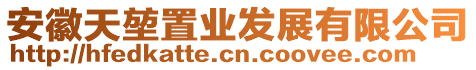 安徽天堃置業(yè)發(fā)展有限公司