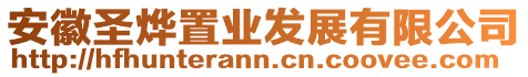 安徽圣燁置業(yè)發(fā)展有限公司