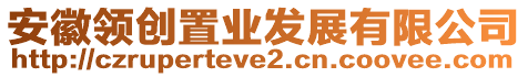 安徽領(lǐng)創(chuàng)置業(yè)發(fā)展有限公司