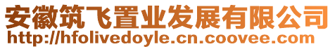 安徽筑飛置業(yè)發(fā)展有限公司