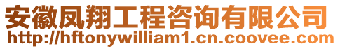 安徽鳳翔工程咨詢有限公司