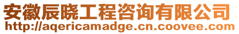 安徽辰曉工程咨詢(xún)有限公司