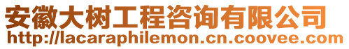 安徽大樹工程咨詢有限公司