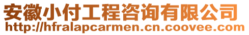 安徽小付工程咨詢(xún)有限公司