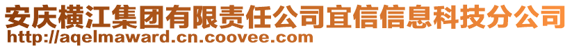 安慶橫江集團有限責任公司宜信信息科技分公司