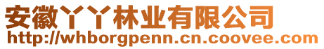 安徽丫丫林業(yè)有限公司