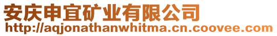 安慶申宜礦業(yè)有限公司