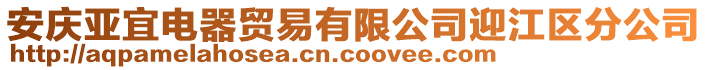 安庆亚宜电器贸易有限公司迎江区分公司